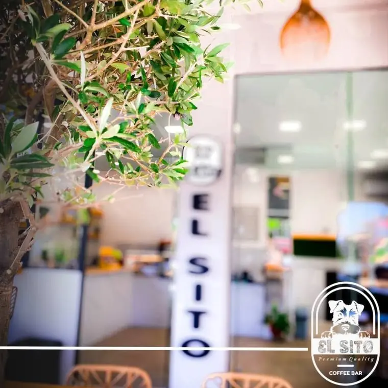 The olive tree and the El Sito sign at the entrance