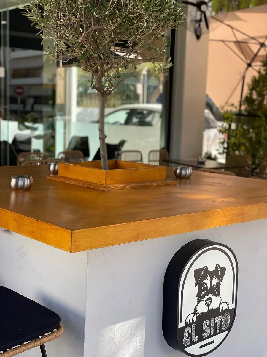 The counter with the olive tree and the shop sign